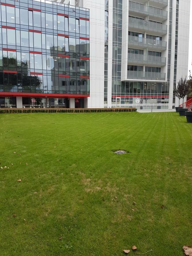 Apartament Towarowa 37 พอซนาน ภายนอก รูปภาพ